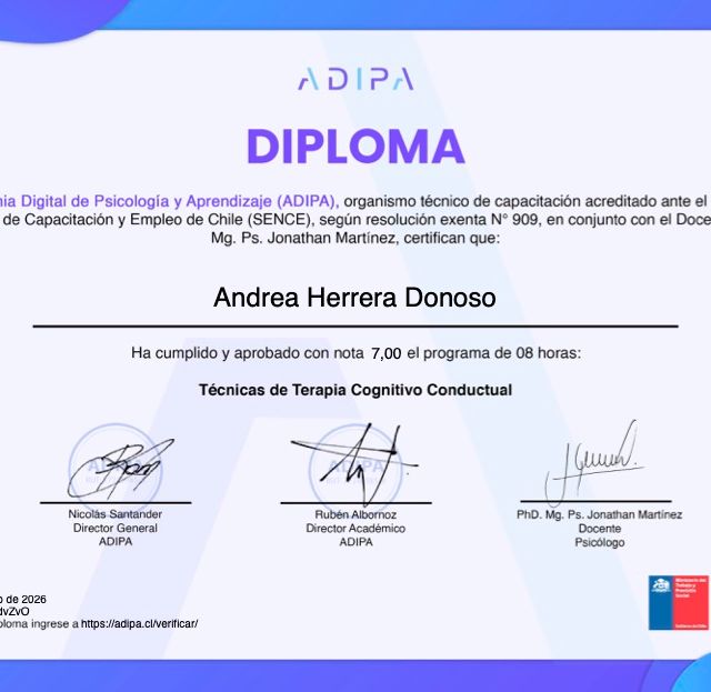 Acercar imagen: certificate 4