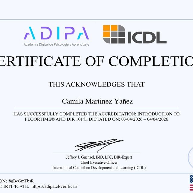 Acercar imagen: certificate 48