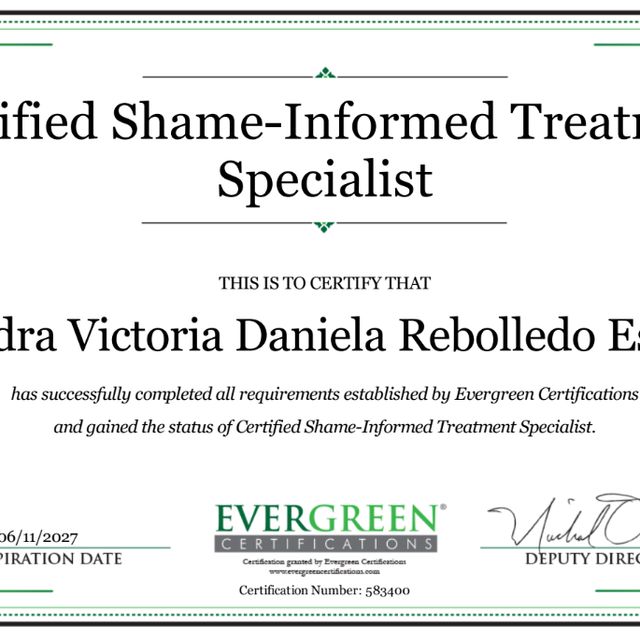 Acercar imagen: certificate 13