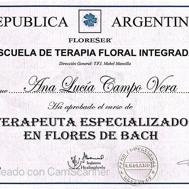 Acercar imagen: certificate 7