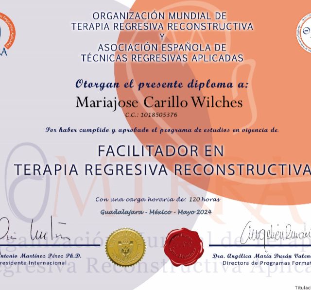 Acercar imagen: certificate 4