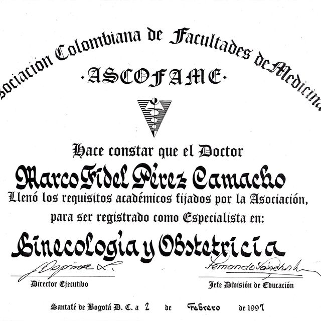 Acercar imagen: certificate 3