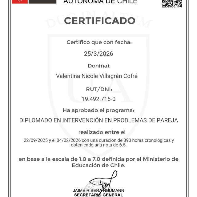 Acercar imagen: certificate 17