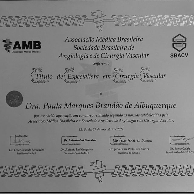 Ampliar imagem: certificate 1