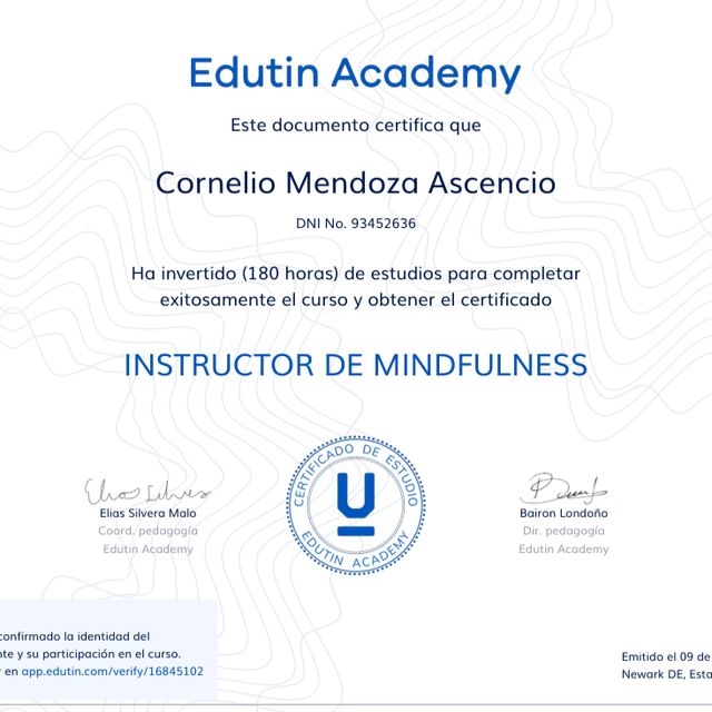 Acercar imagen: certificate 4