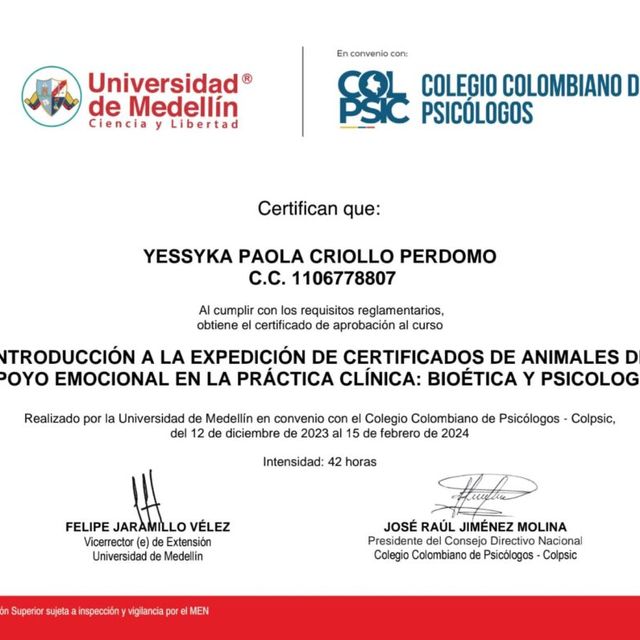 Acercar imagen: certificate 4