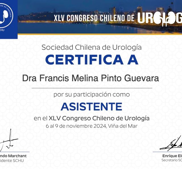 Acercar imagen: certificate 4