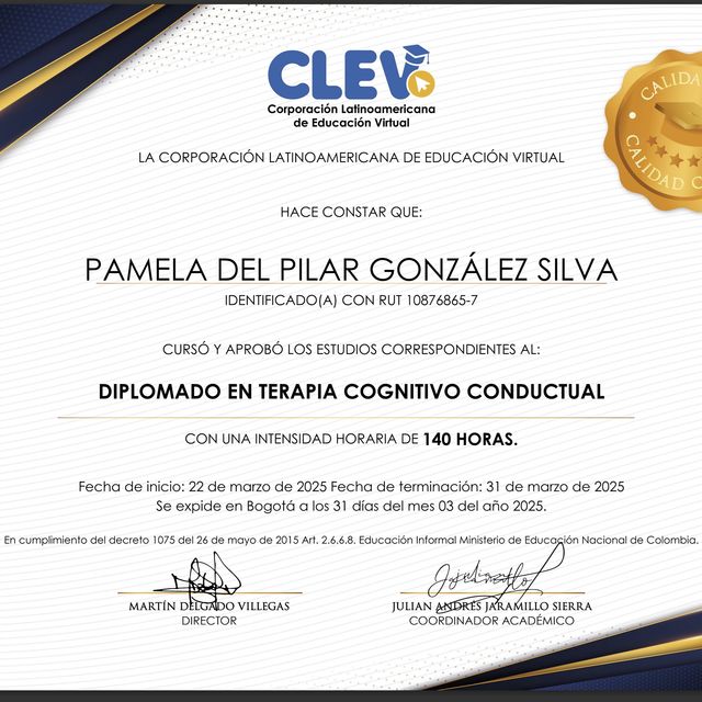 Acercar imagen: certificate 19