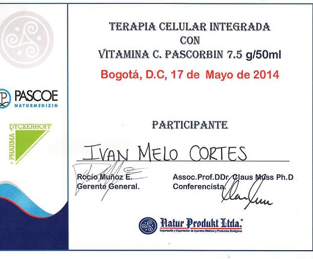 Acercar imagen: certificate 12