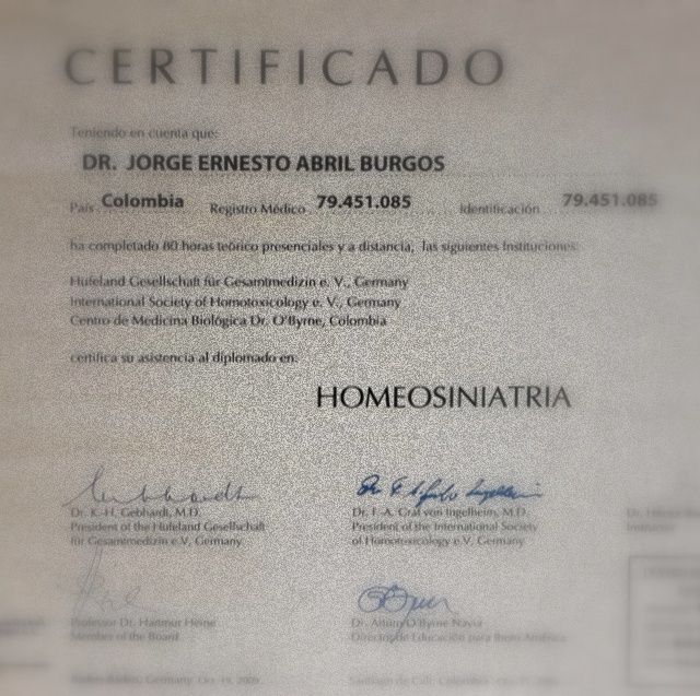 Acercar imagen: certificate 5