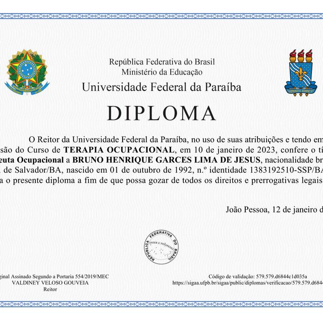 Ampliar imagem: certificate 2