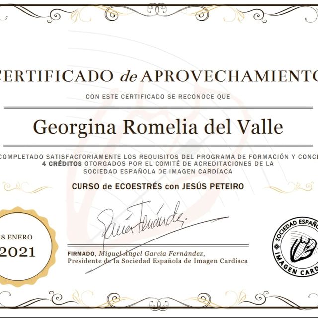 Acercar imagen: certificate 4