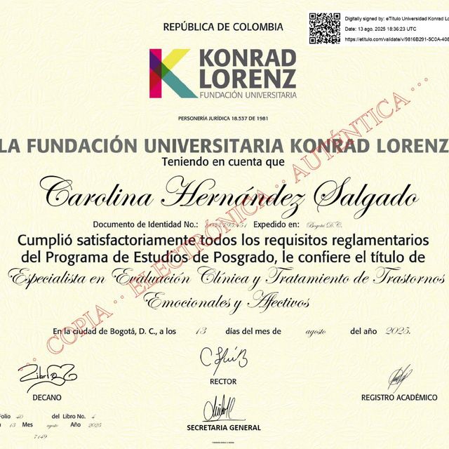 Acercar imagen: certificate 2