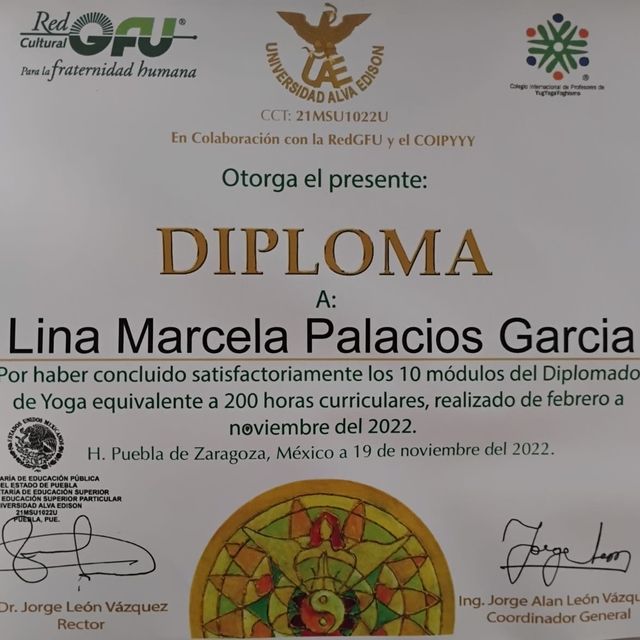 Acercar imagen: certificate 2