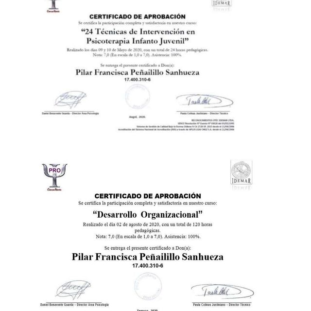 Acercar imagen: certificate 11