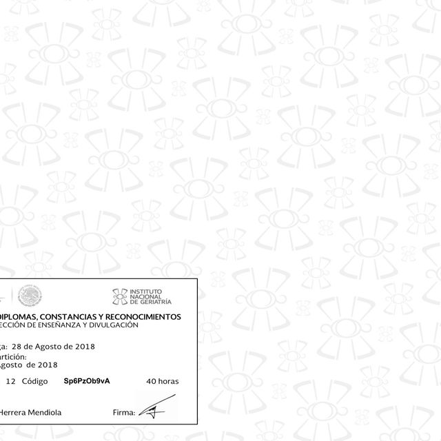 Acercar imagen: certificate 11