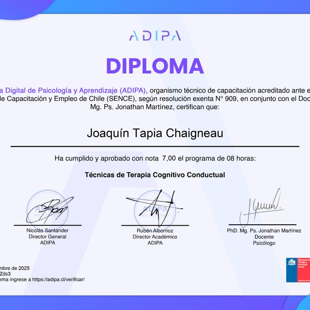 Acercar imagen: certificate 7