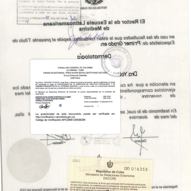 Acercar imagen: certificate 7