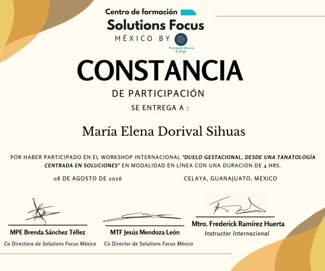 Acercar imagen: certificate 14