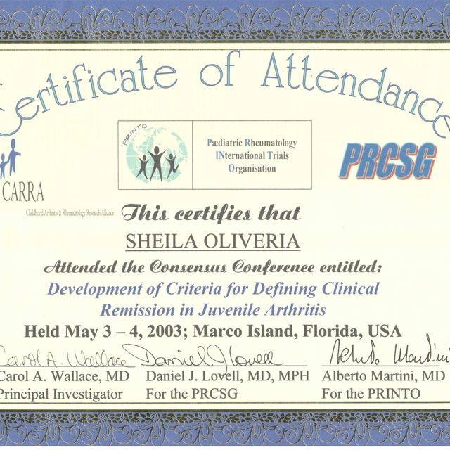 Ampliar imagem: certificate 3