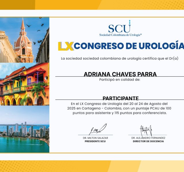 Acercar imagen: certificate 3