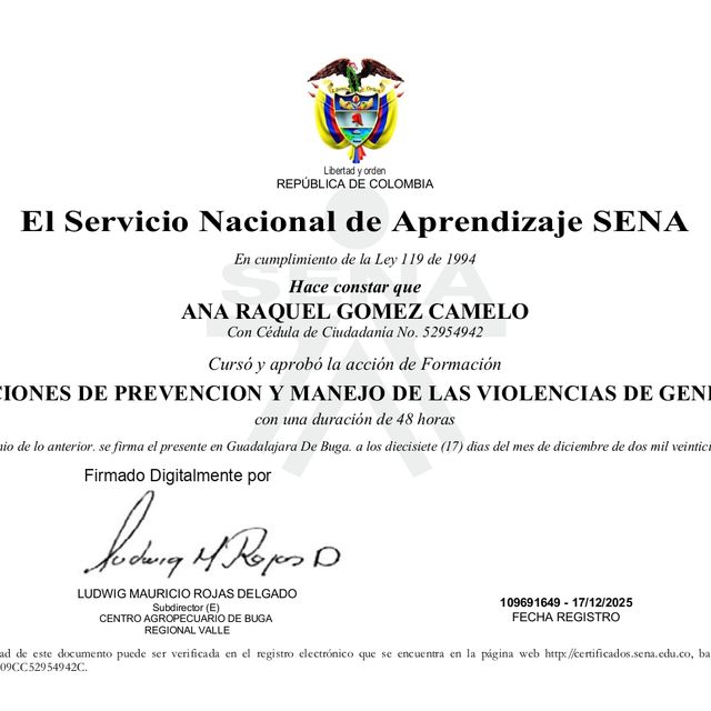 Acercar imagen: certificate 3
