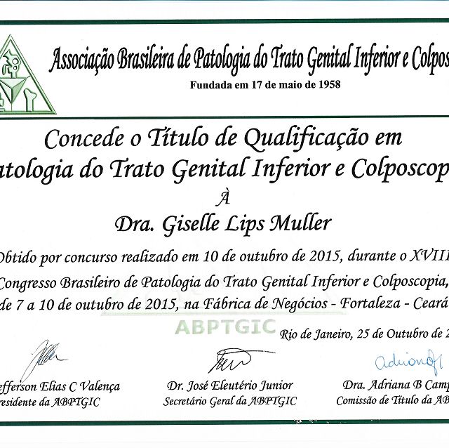 Ampliar imagem: certificate 4