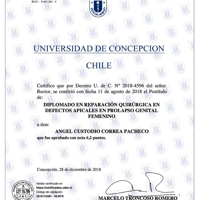 Acercar imagen: certificate 8
