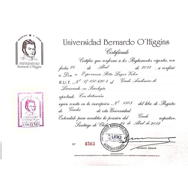Acercar imagen: certificate 2
