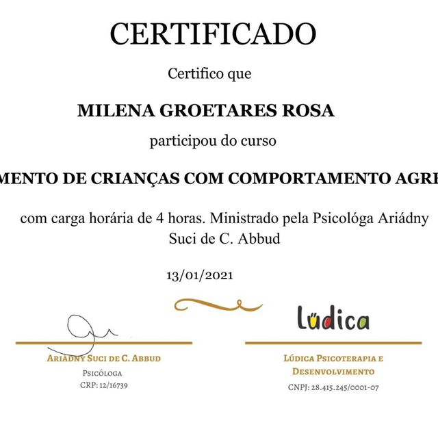 Ampliar imagem: certificate 4