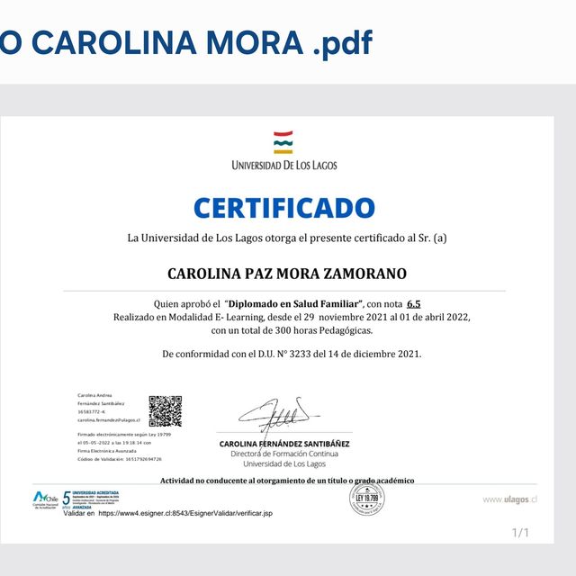 Acercar imagen: certificate 5