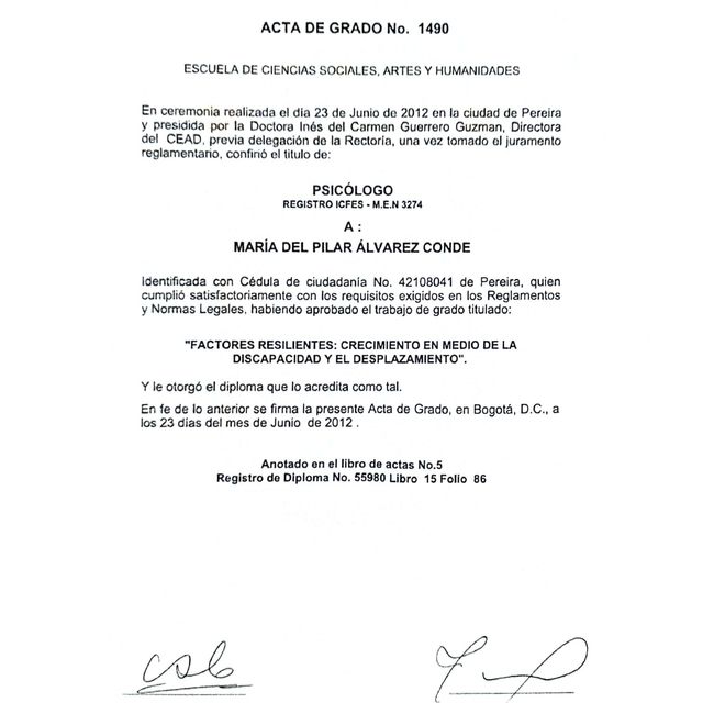 Acercar imagen: certificate 2