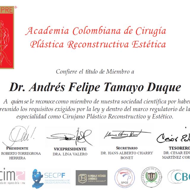 Acercar imagen: certificate 3