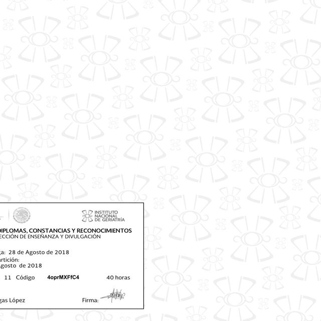 Acercar imagen: certificate 9