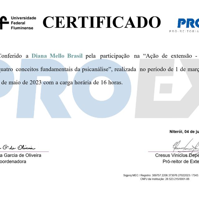 Ampliar imagem: certificate 3