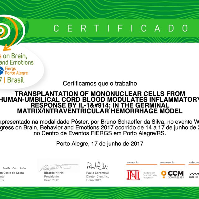 Ampliar imagem: certificate 4