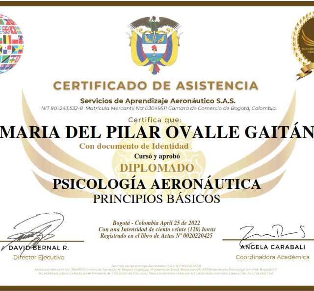 Acercar imagen: certificate 5