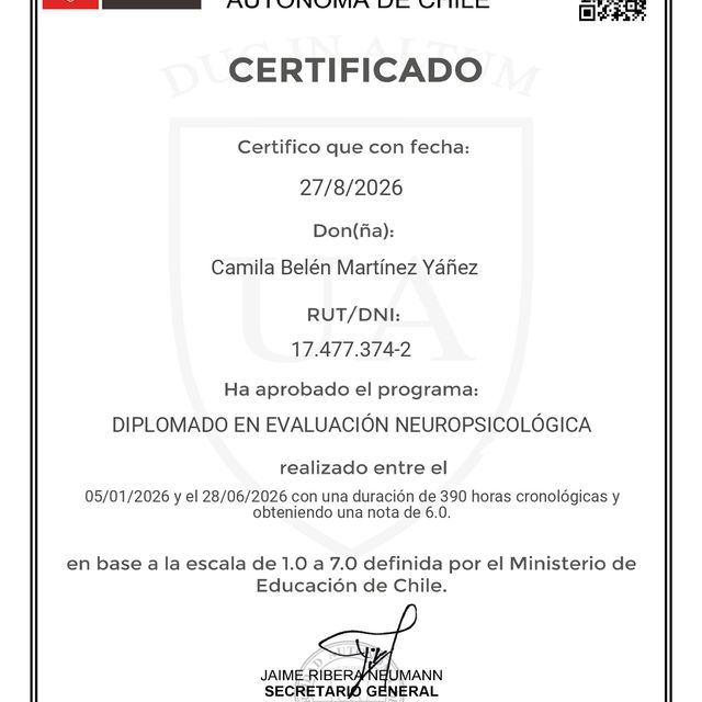 Acercar imagen: certificate 53