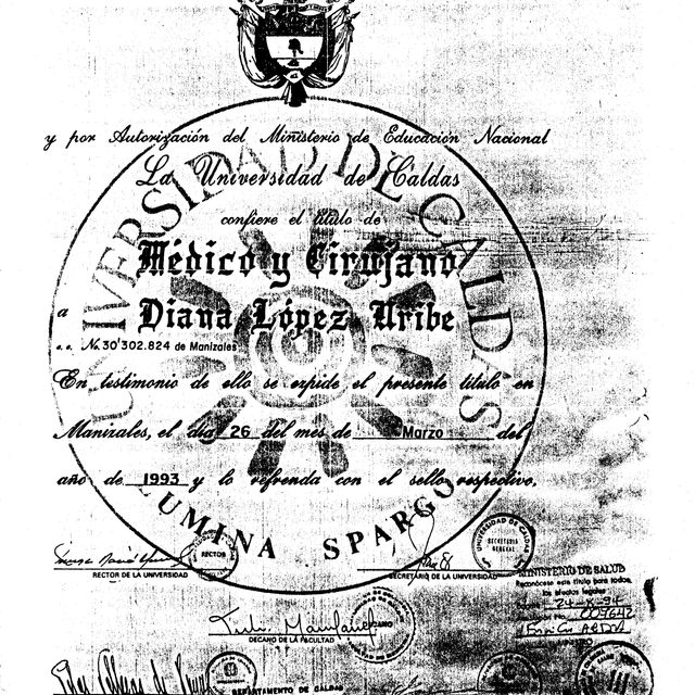 Acercar imagen: certificate 3