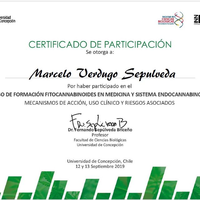 Acercar imagen: certificate 5