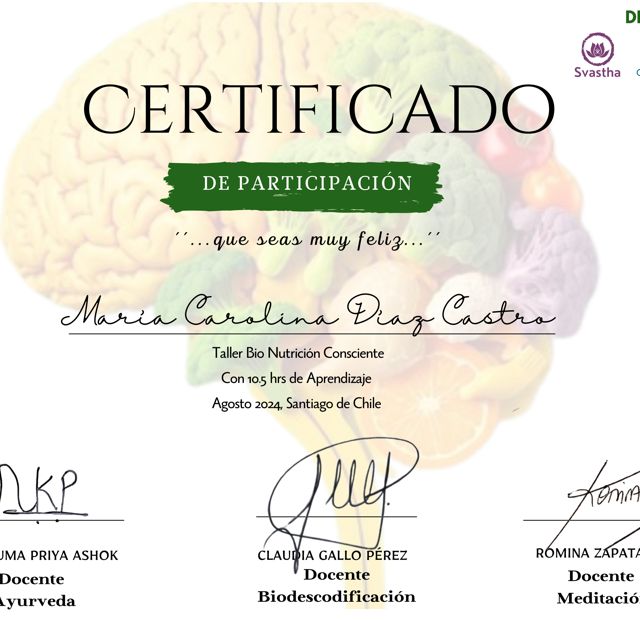Acercar imagen: certificate 17