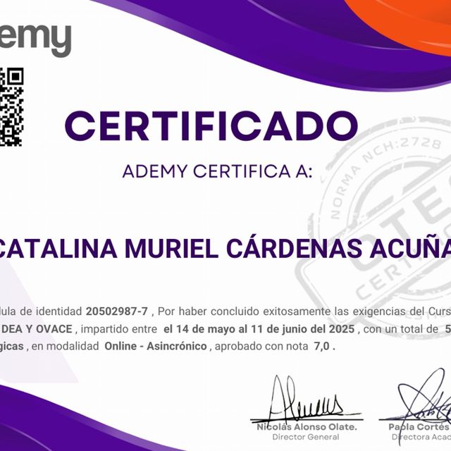 Acercar imagen: certificate 3