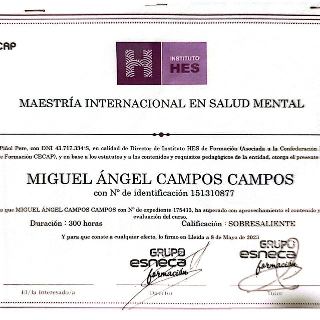 Acercar imagen: certificate 8