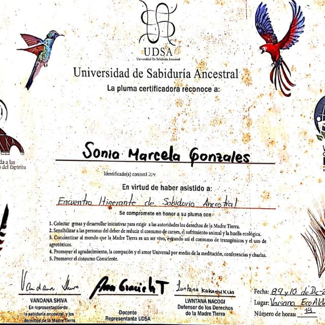 Acercar imagen: certificate 7