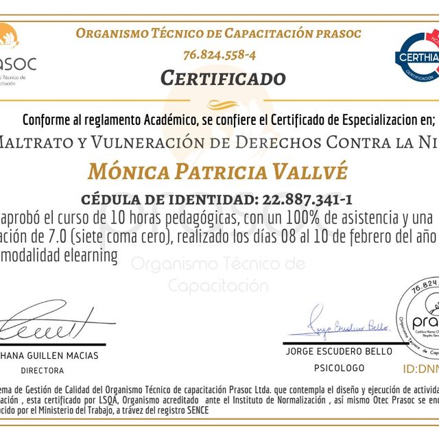 Acercar imagen: certificate 11