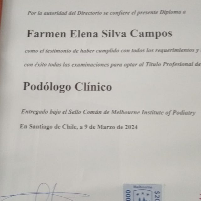 Acercar imagen: certificate 4