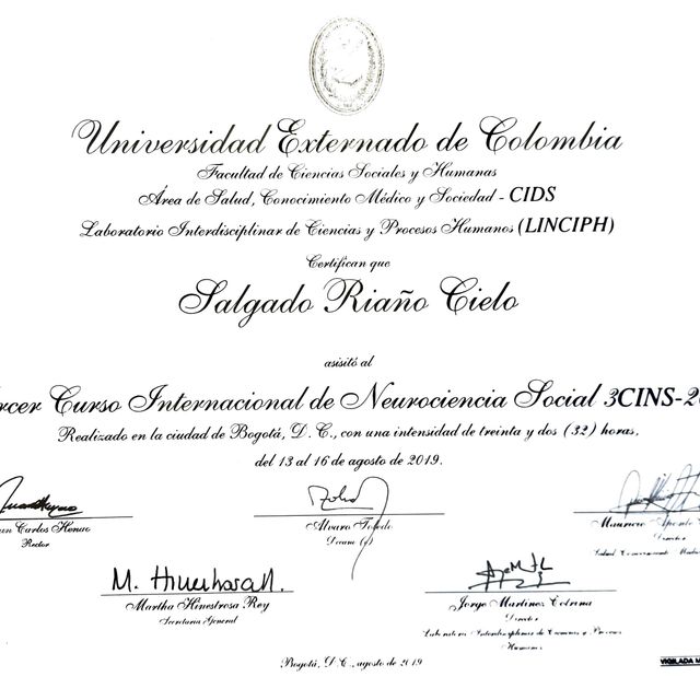 Acercar imagen: certificate 11