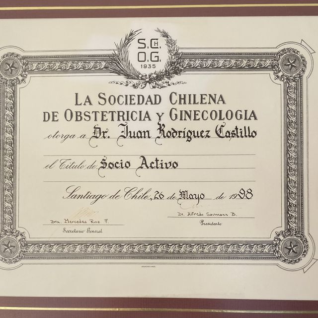 Acercar imagen: certificate 2