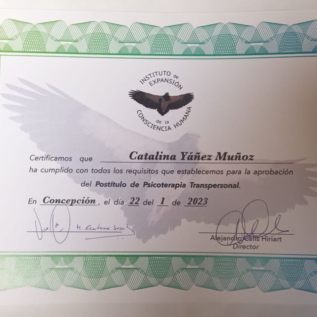 Acercar imagen: certificate 1
