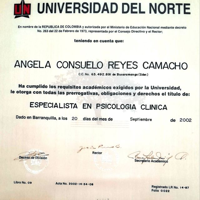 Acercar imagen: certificate 3